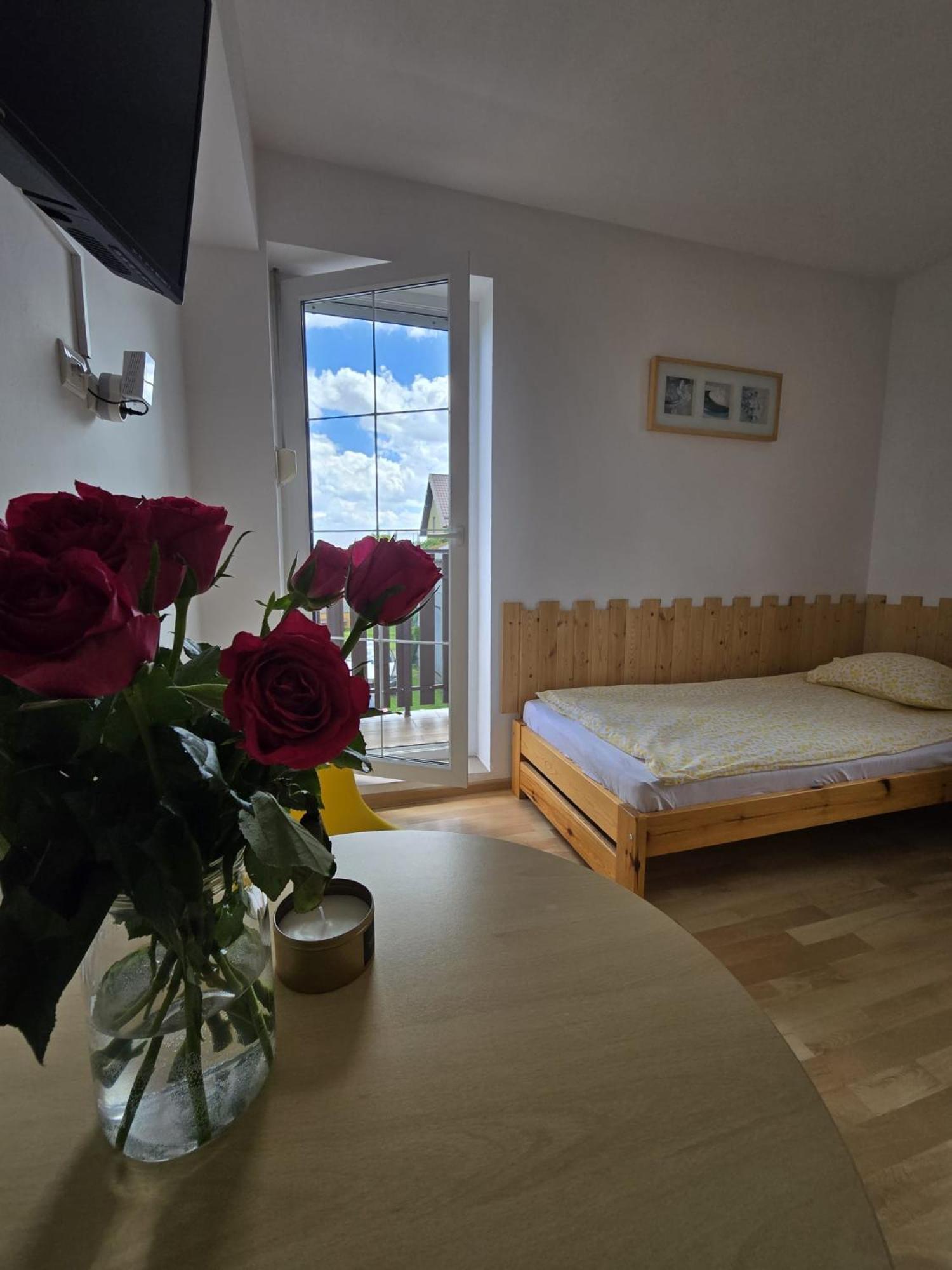 Villa Mango Wladyslawowo Chlapowo Екстериор снимка